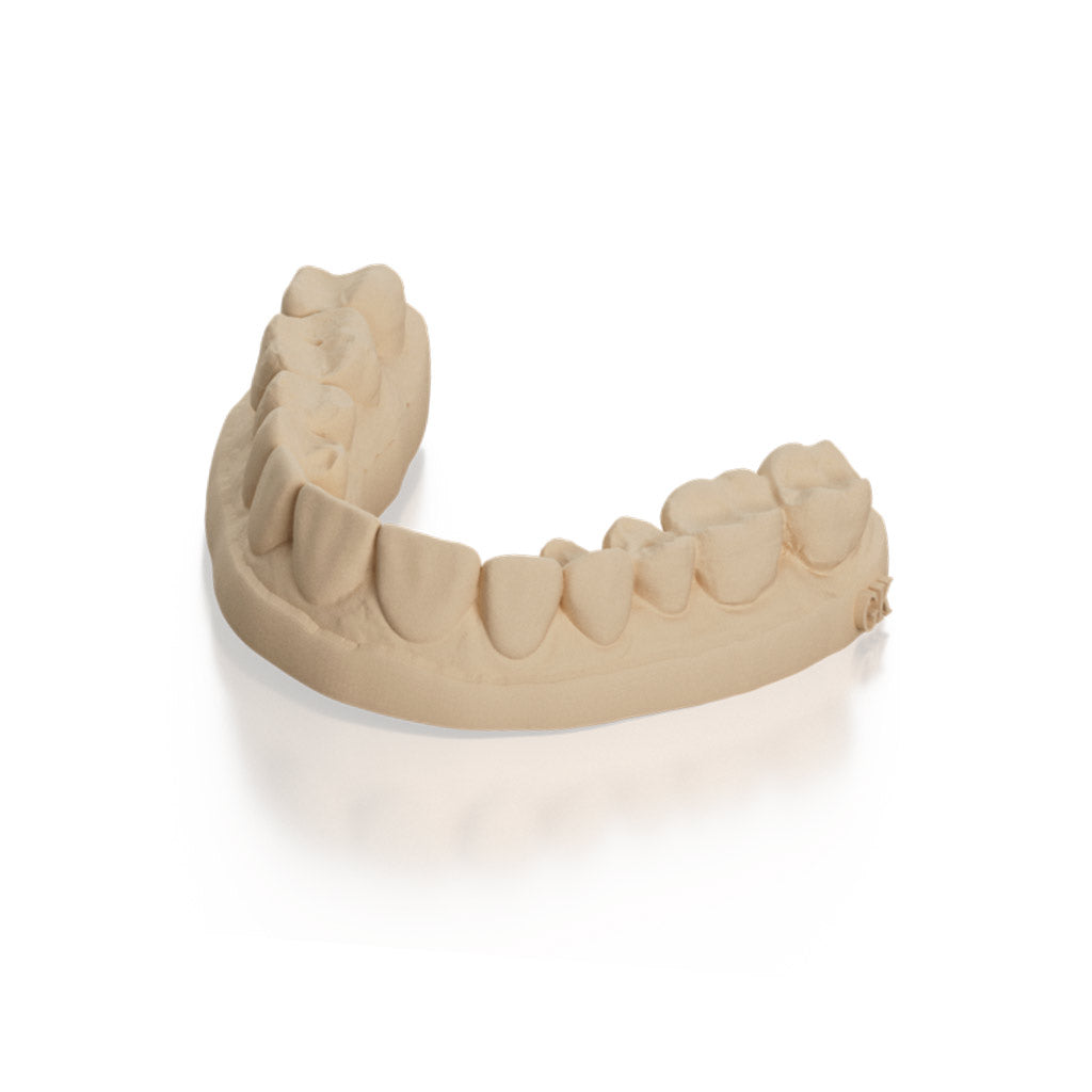 [Sample] Dental Model Tan