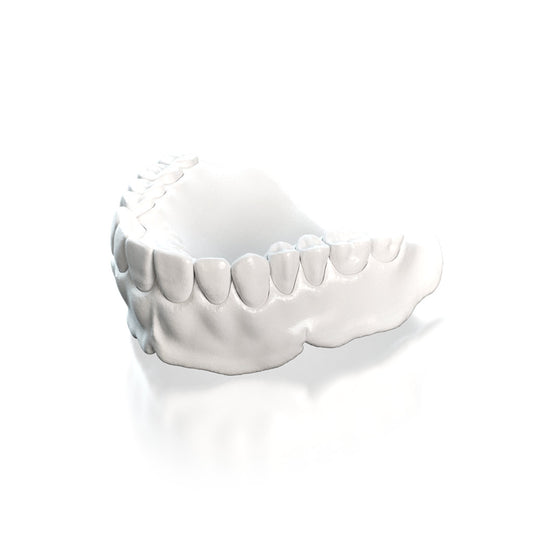 [Sample] Try In Denture