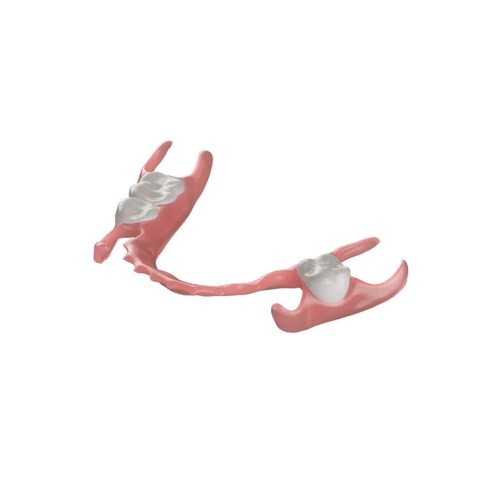 [Sample] Flex Partial Denture